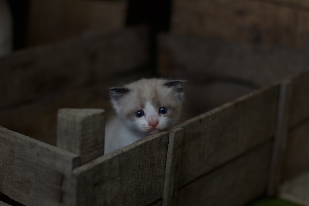 Photo by George Bonev on Unsplash