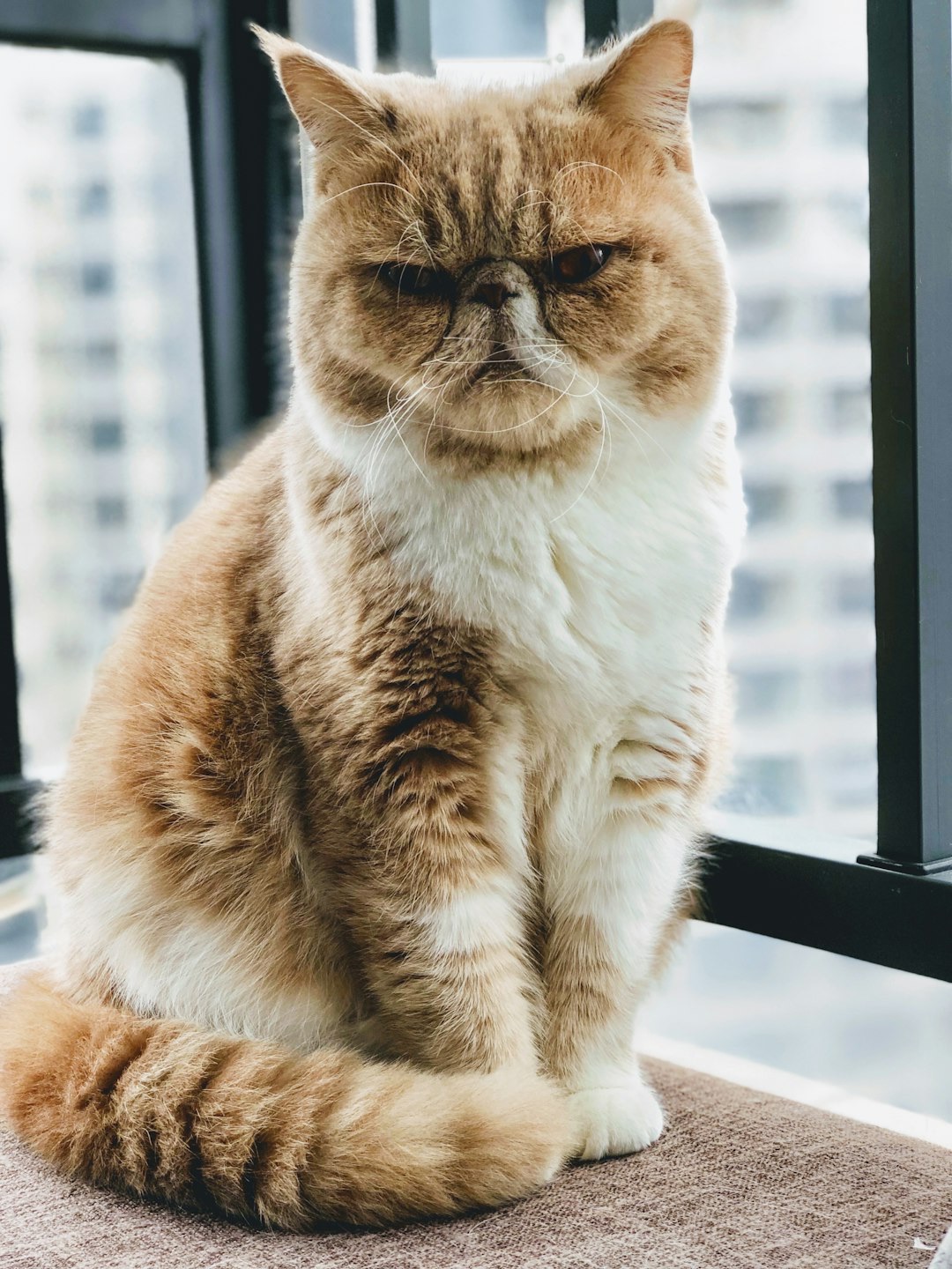 Photo by Cyrus Chew on Unsplash