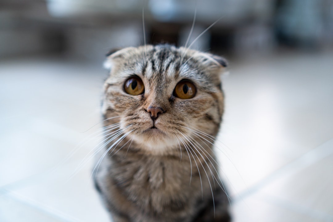 Photo by Mongwoo on Unsplash