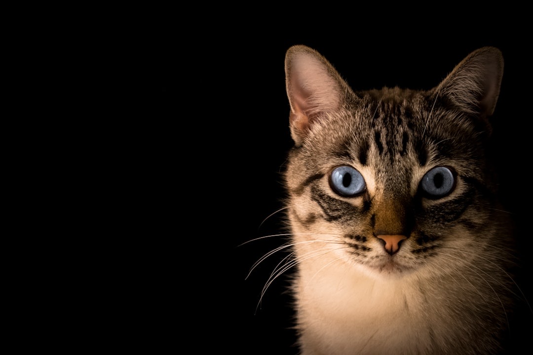 Photo by Pacto Visual on Unsplash